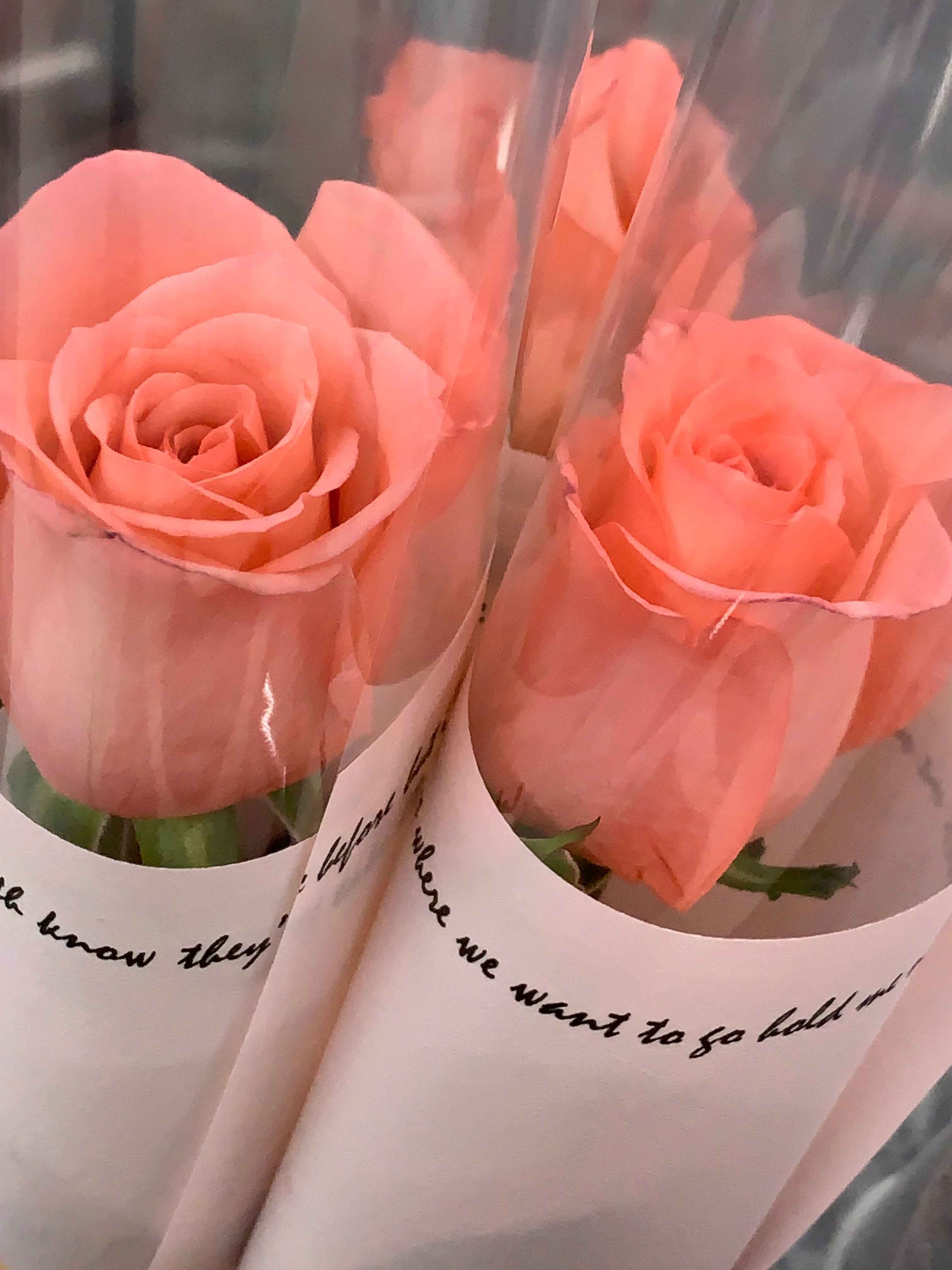 85cb0510ef4fc0e63b5cff090d8acbe 85cb0510ef4fc0e63b5cff090d8acbe